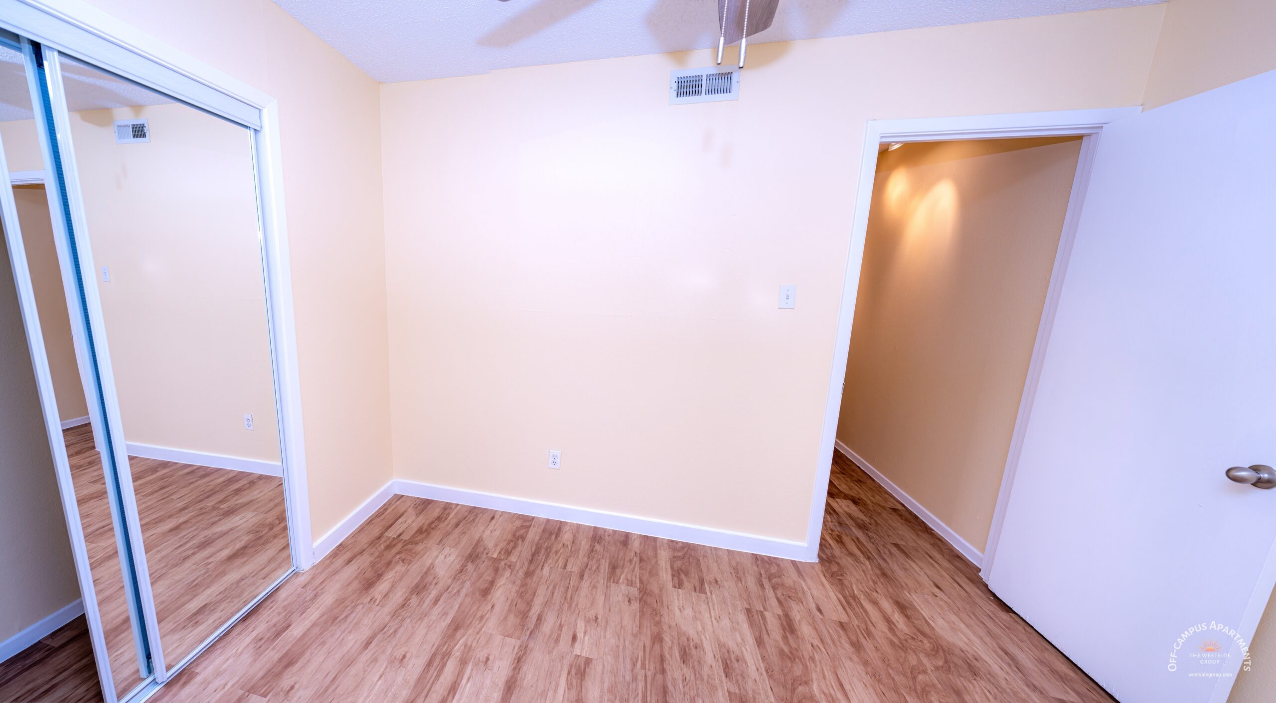 sliding-closet-door-with-mirror